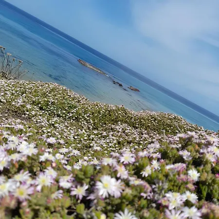 Appartement Domo S'apposentu *