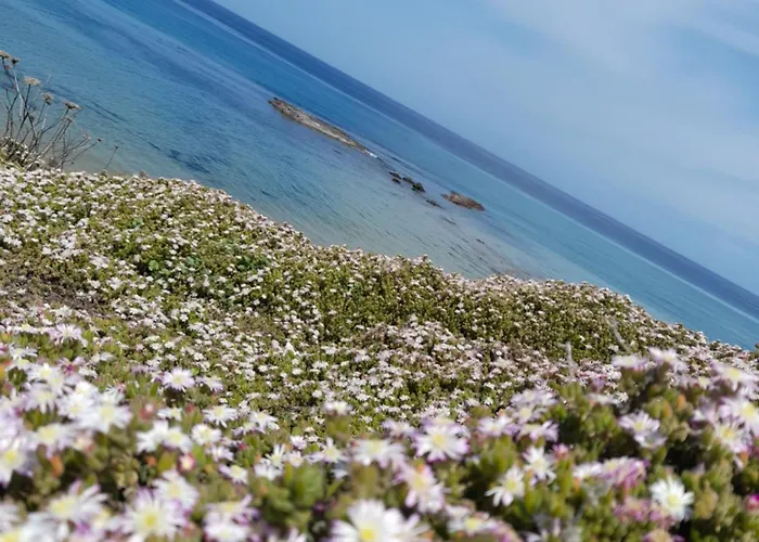 Lägenhet Domo S'apposentu *